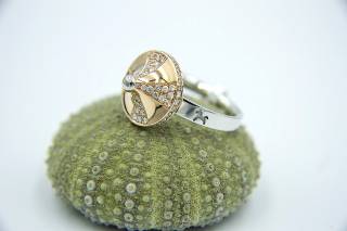 Carousel Ring with diamonds